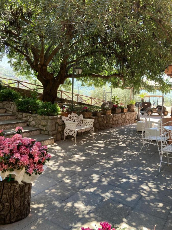 Agriturismo Nonno Luigino Вико-Экуенсе Экстерьер фото