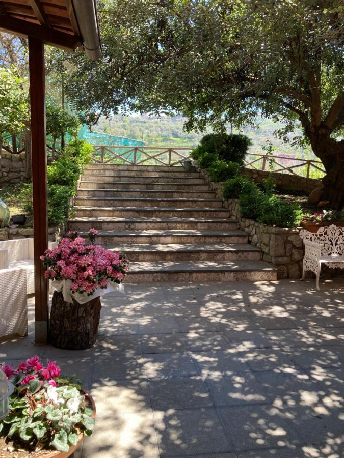 Agriturismo Nonno Luigino Вико-Экуенсе Экстерьер фото