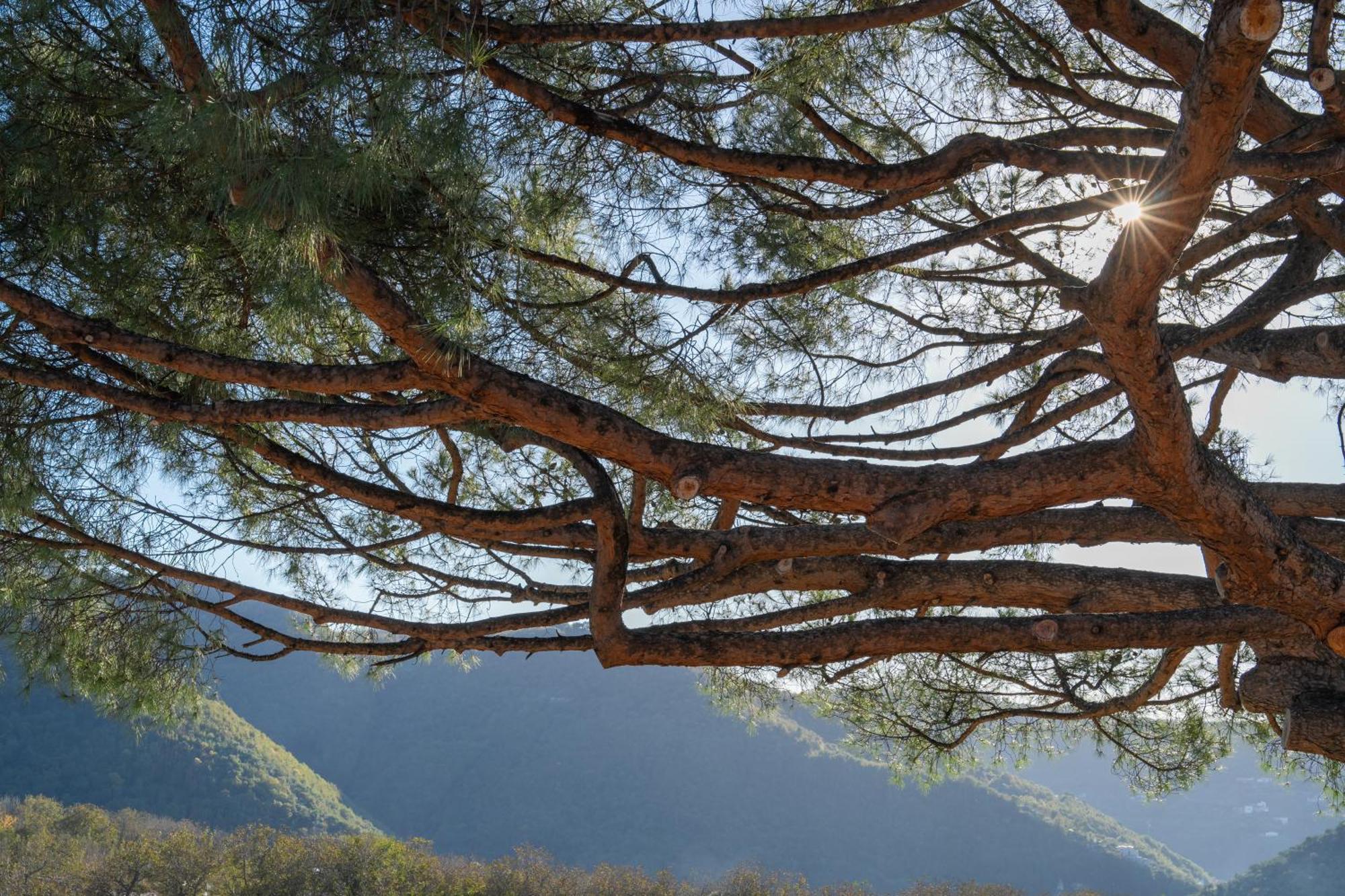 Agriturismo Nonno Luigino Вико-Экуенсе Экстерьер фото