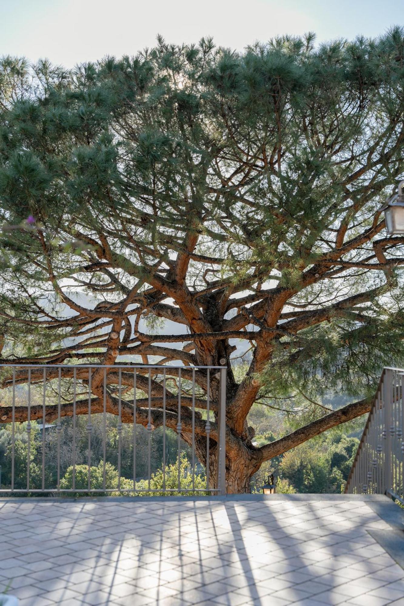 Agriturismo Nonno Luigino Вико-Экуенсе Экстерьер фото